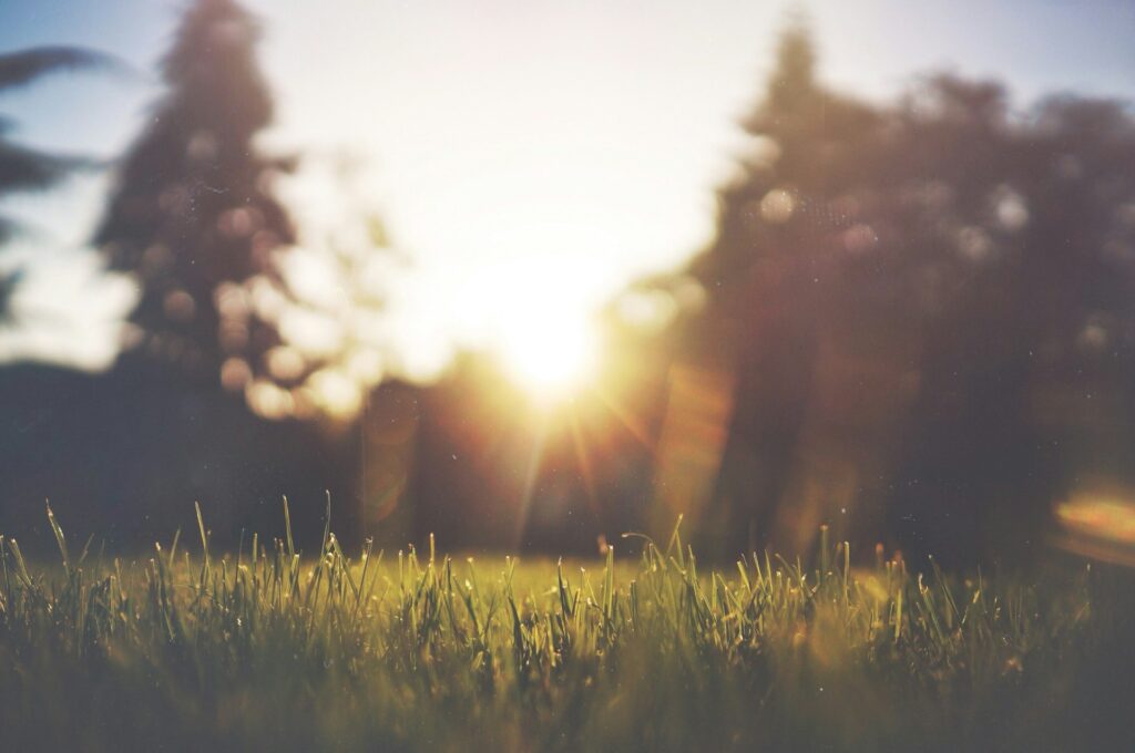 7-minute morning habits